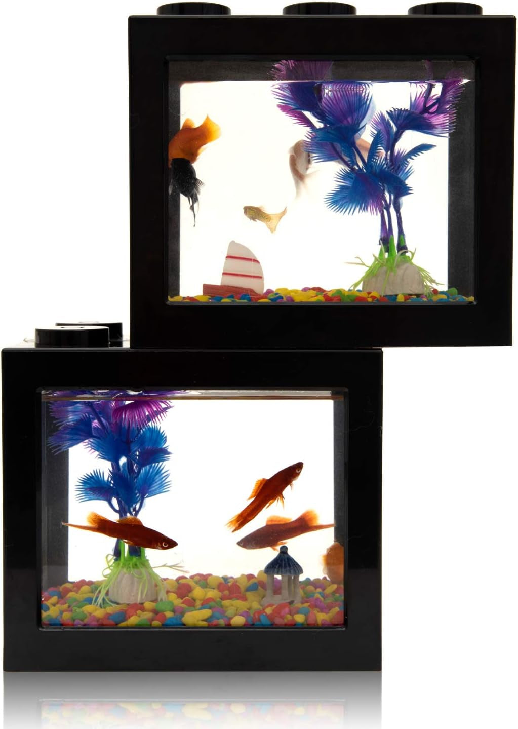 Small Betta Fish Tank,Fish Bow Aquarium with Gravel Plants Rocks Feeder,Small Fish Tank for Turtle Reptile Jellyfish Goldfish,Lb