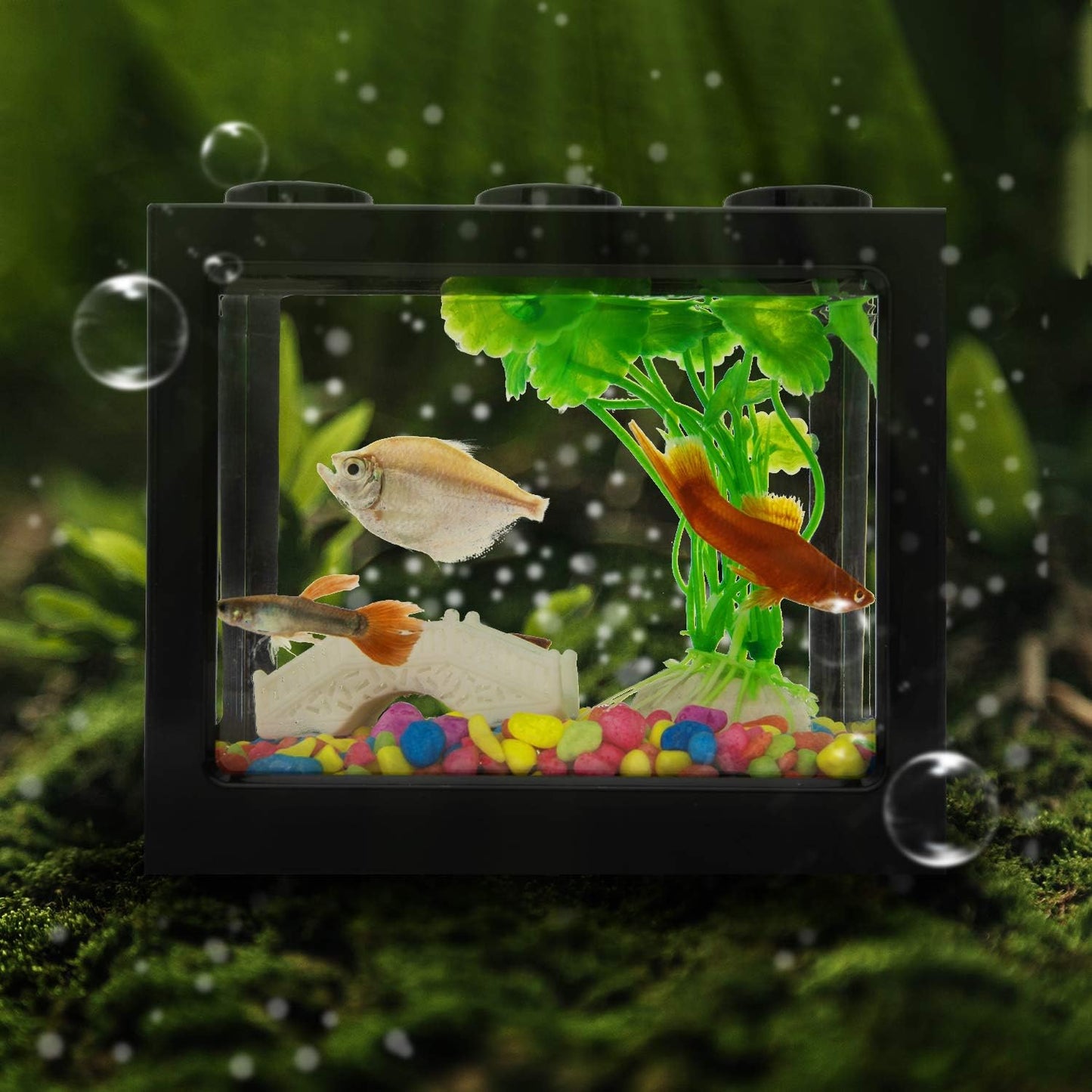 Small Betta Fish Tank,Fish Bow Aquarium with Gravel Plants Rocks Feeder,Small Fish Tank for Turtle Reptile Jellyfish Goldfish,Lb