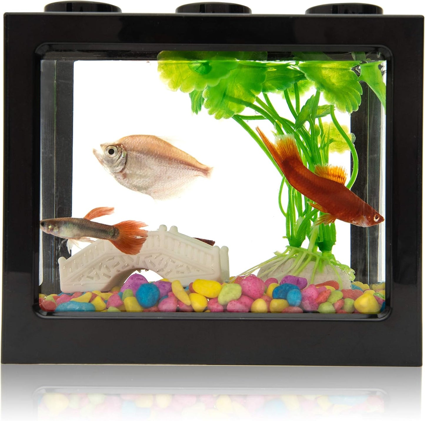 Small Betta Fish Tank,Fish Bow Aquarium with Gravel Plants Rocks Feeder,Small Fish Tank for Turtle Reptile Jellyfish Goldfish,Lb